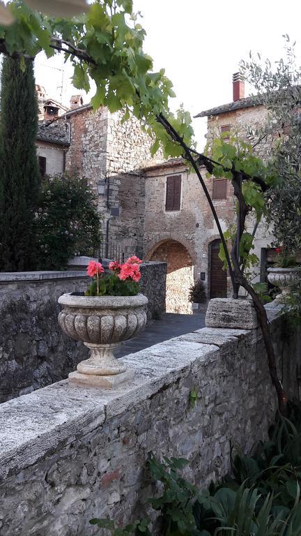 B&B Il Vecchietta Castiglione dʼOrcia Exterior foto